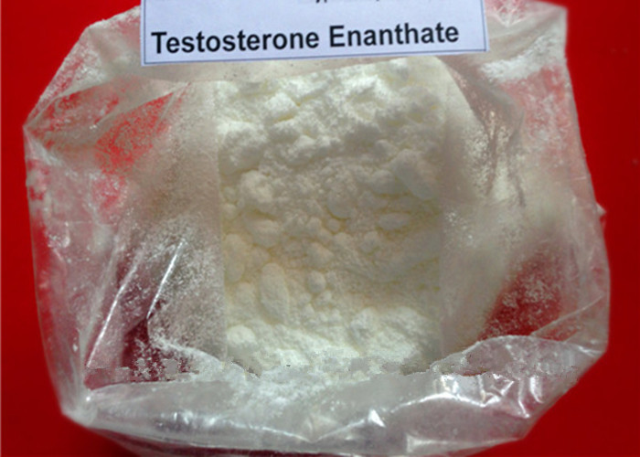Testosterone Enanthate2_.jpg