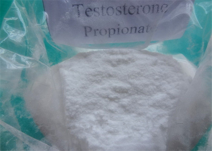 Testosterone Propionate 2.jpg